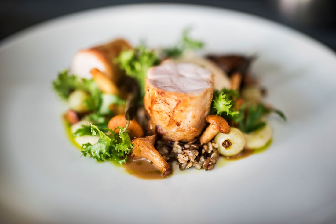 Assiette gastronomique de suprême de volaille, girolles et riz sauvage, dressée par le traiteur Maison Safran